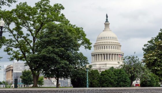 Washington DC, USA - June 9, 2019: US Capitol Building in Washin