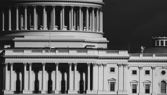 U.S. Capitol Building (Detail)