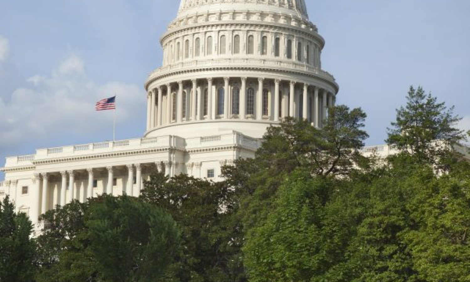 United States Capitol building in Washington DC