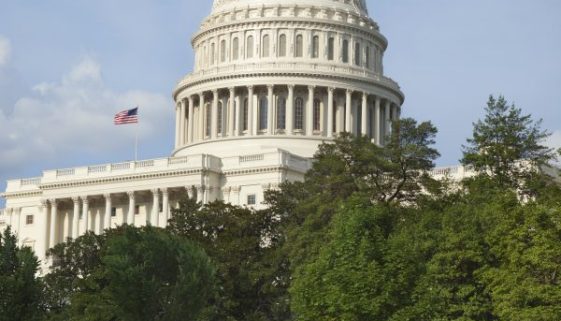 United States Capitol building in Washington DC