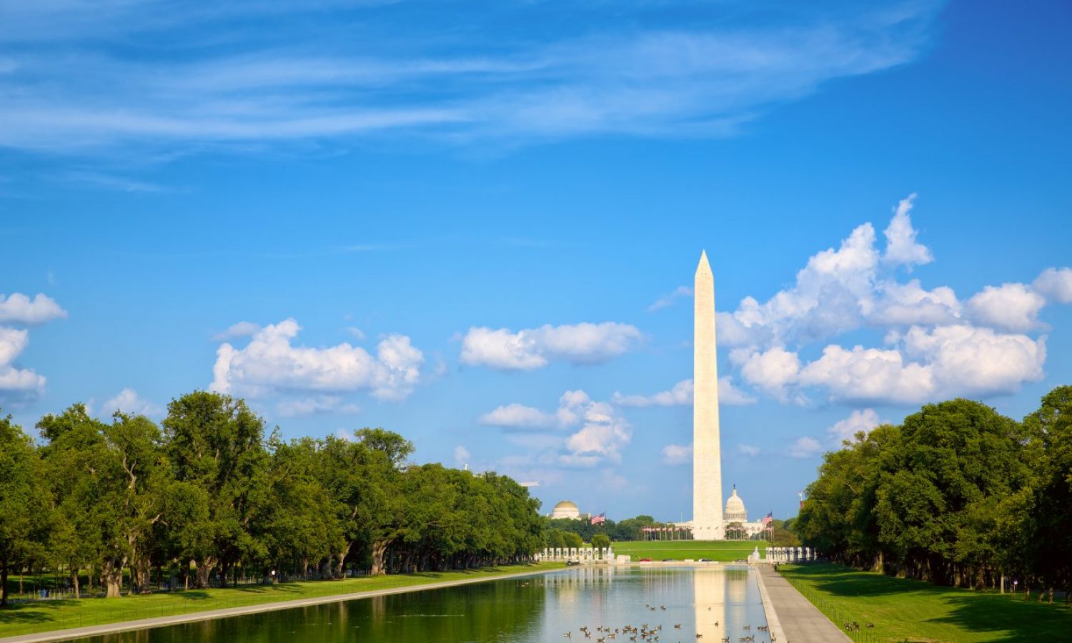 Washington DC