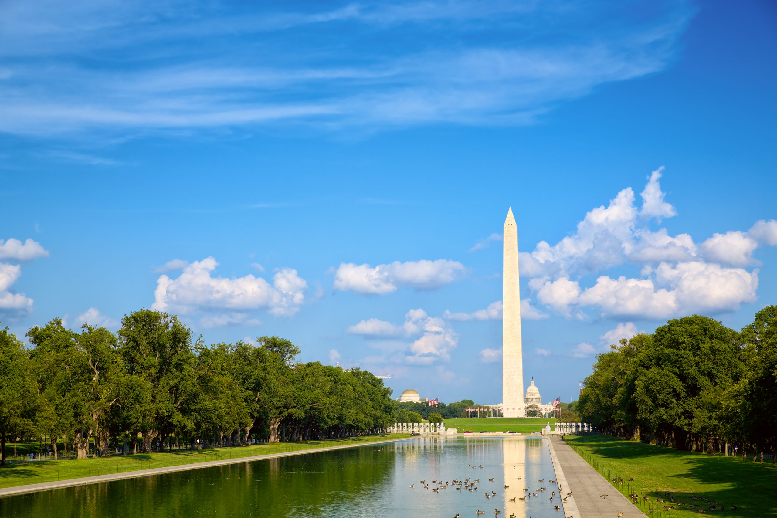 Washington DC
