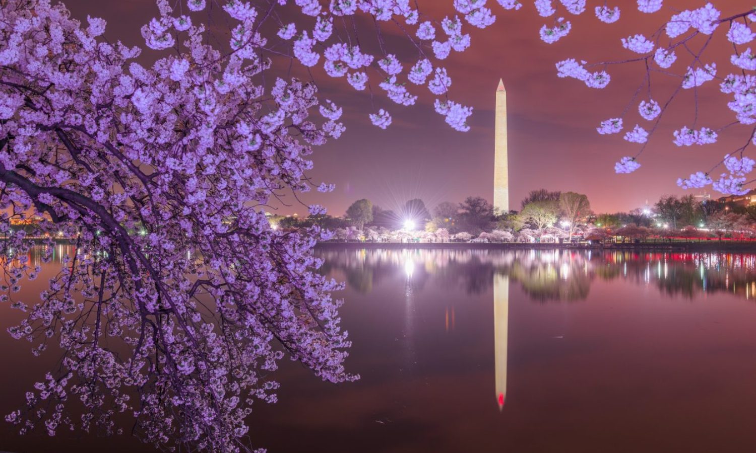 Washington DC, USA at the tidal basin with Washington Monument