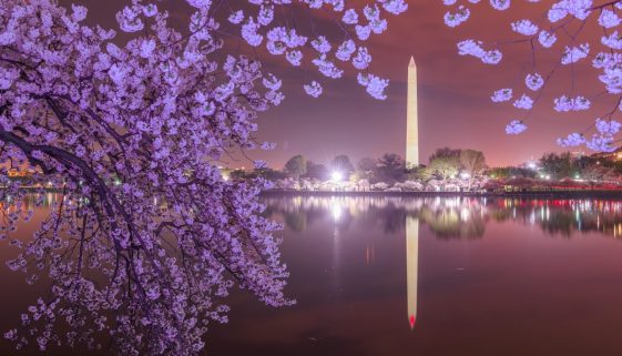 Washington DC, USA at the tidal basin with Washington Monument