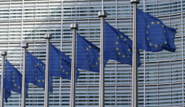 European Union Flags