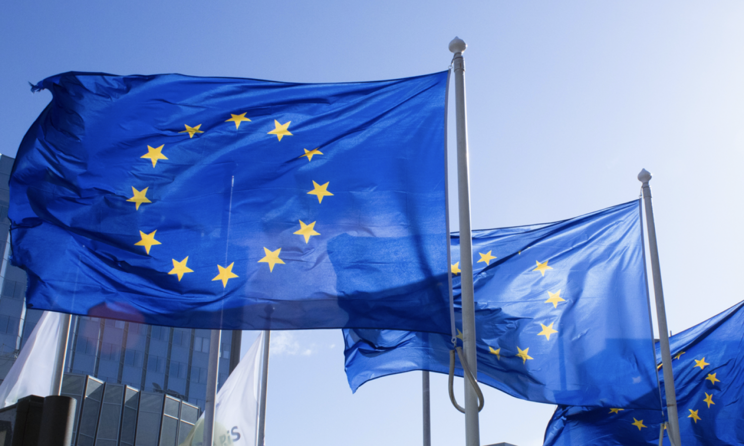 European Union Flags in the Wind
