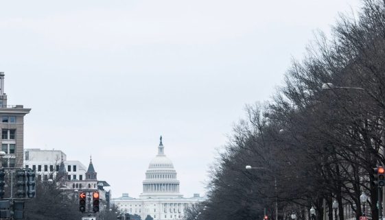 Washington DC Capitol-Maria Oswalt-Unsplash