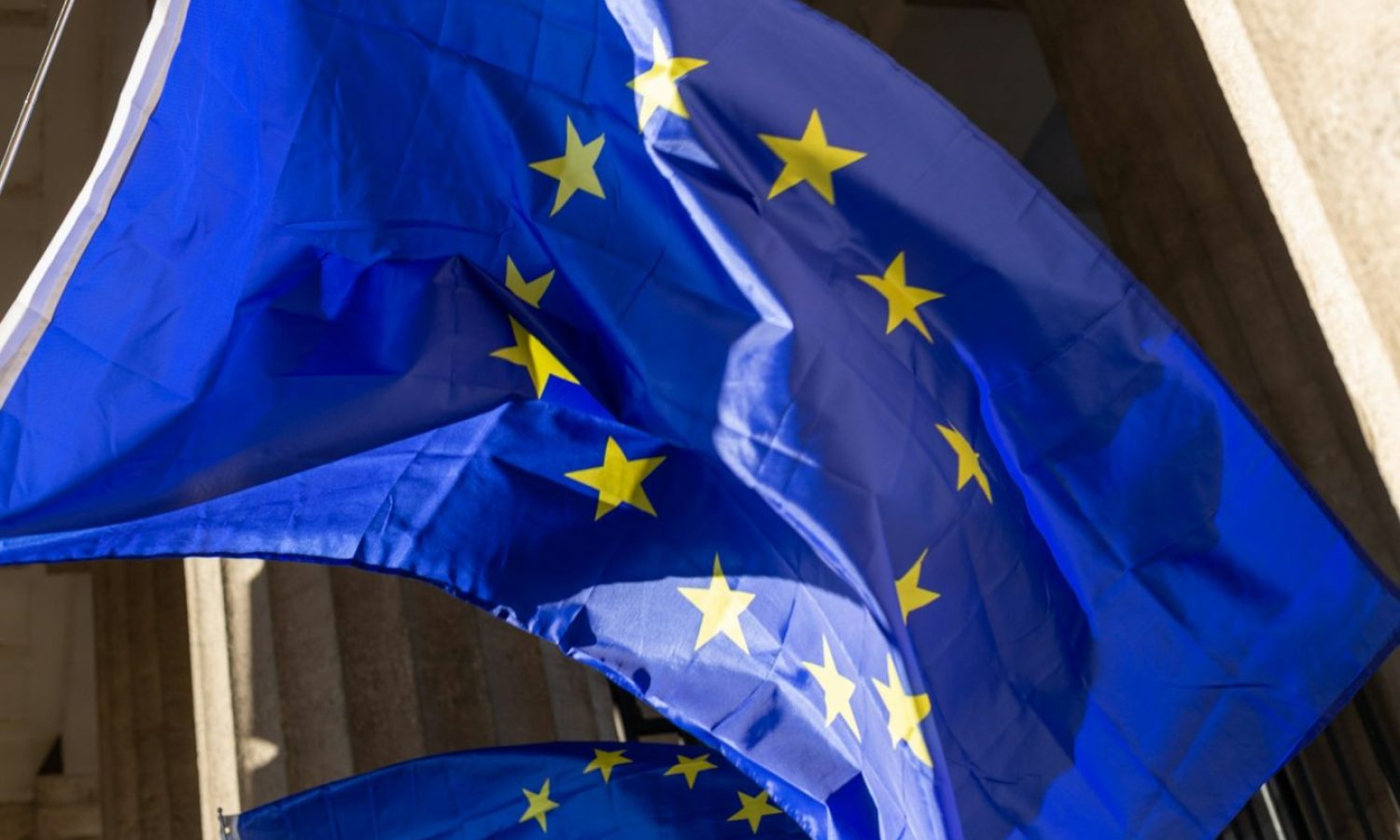 EU Flag by Tetiana Shyshkina