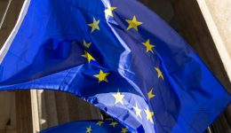 EU Flag by Tetiana Shyshkina